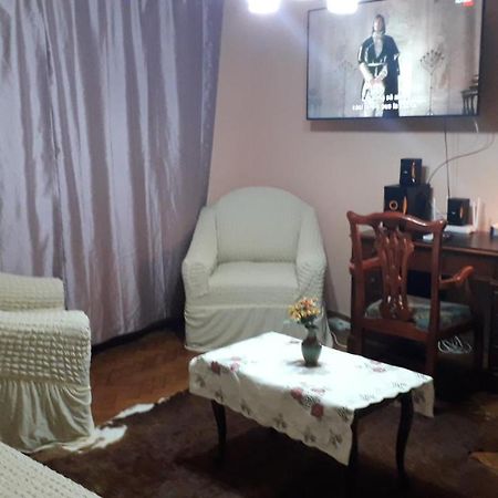 Cozy, Central 1-Bedroom Apartment In Timisoara, Romania Buitenkant foto