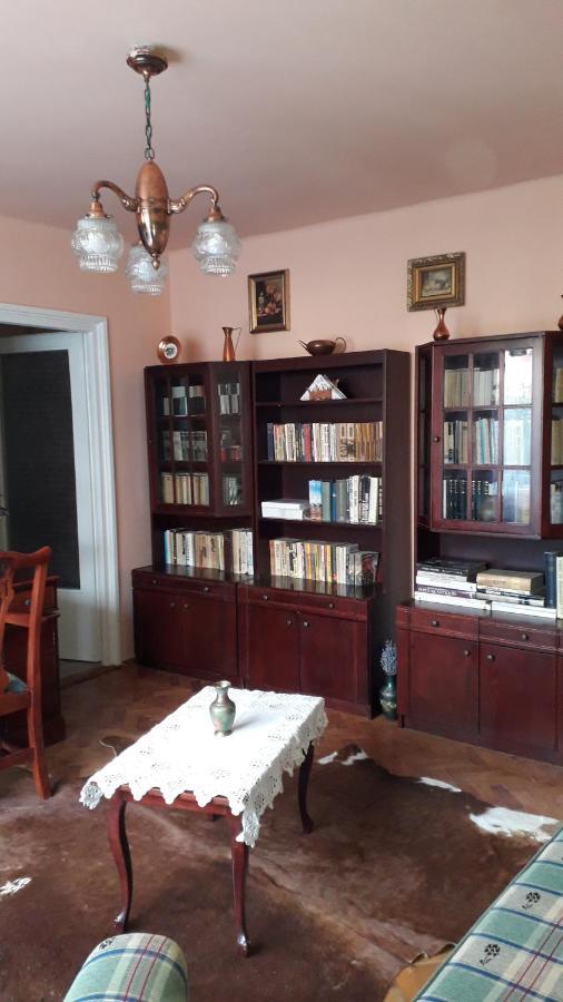Cozy, Central 1-Bedroom Apartment In Timisoara, Romania Buitenkant foto