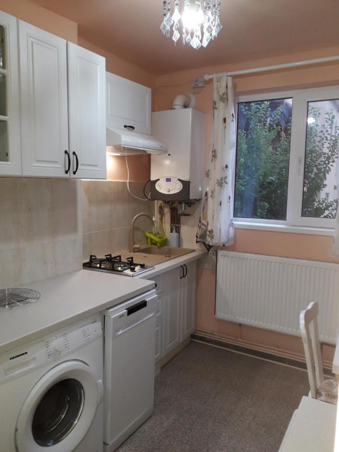 Cozy, Central 1-Bedroom Apartment In Timisoara, Romania Buitenkant foto