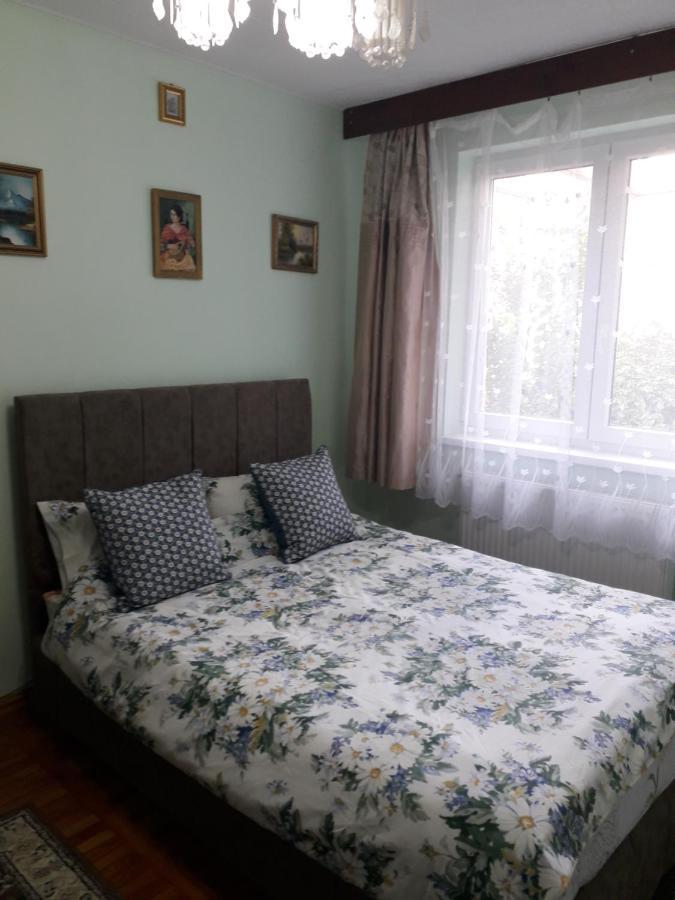 Cozy, Central 1-Bedroom Apartment In Timisoara, Romania Buitenkant foto